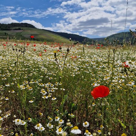 Das Rote Ferienhaus Terlinden Lieser Kültér fotó